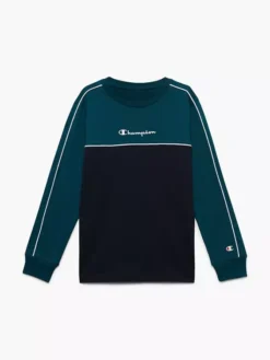 Champion Sweatshirt