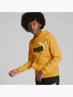 Puma Hoodie -Adidas 2088025 H5