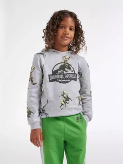 Jurassic World Sweatshirt -Adidas 2091197 H2