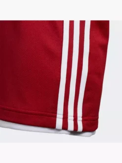Adidas 3G Speed Reversible Trikot -Adidas 8012 DY6622 P3