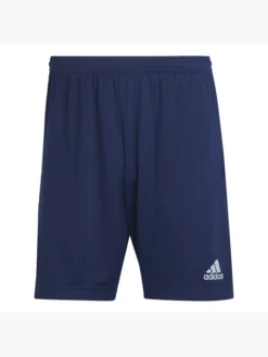 Adidas Entrada 22 Training Shorts
