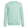 Adidas Entrada 22 Sweatshirt -Adidas 8012 HC5042 P