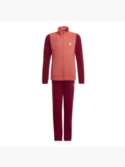 Adidas Adidas Essentials Trainingsanzug