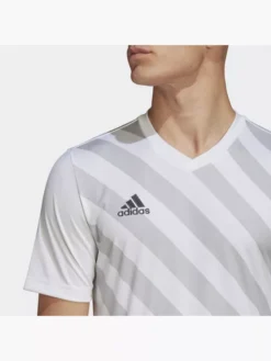 Adidas Entrada 22 Graphic Trikot -Adidas 8012 HF0129 P1