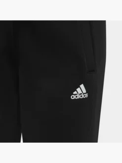 Adidas Essentials Big Logo Trainingsanzug -Adidas 8012 IC5686 P1